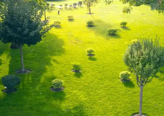 12-Acre Central Park
